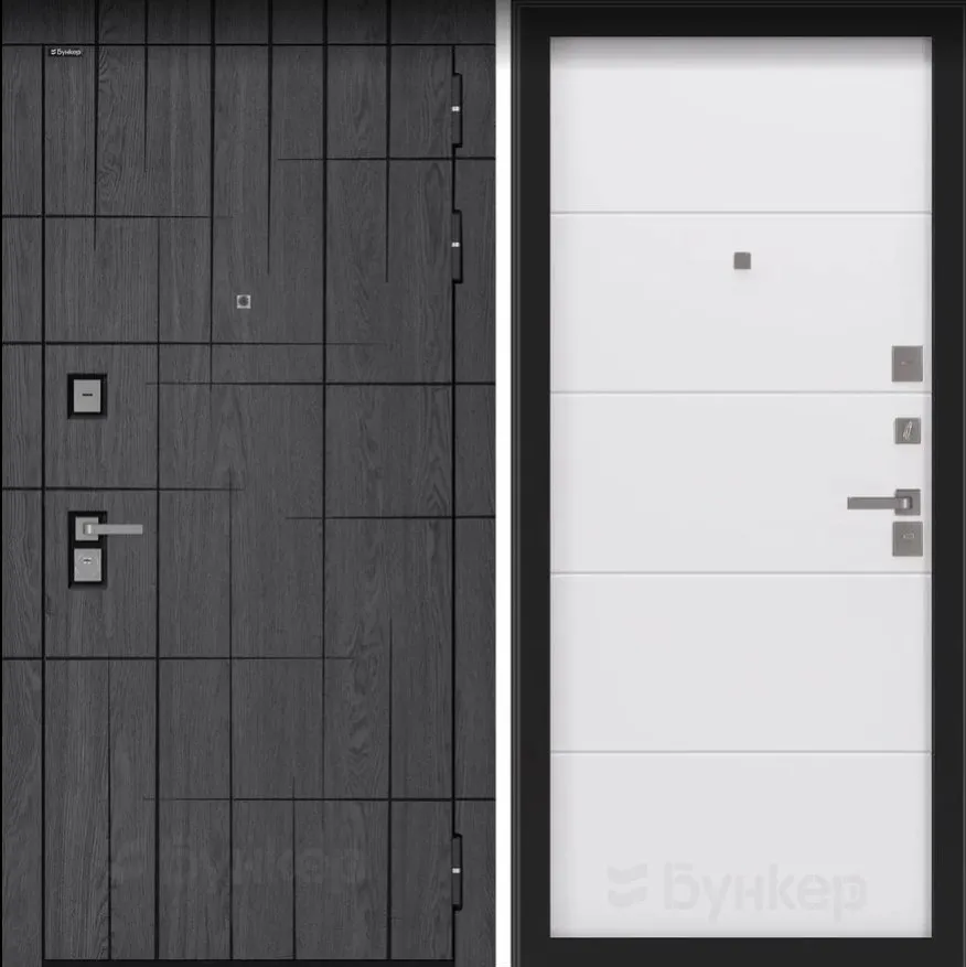 Дверь БН-09 DIS006820